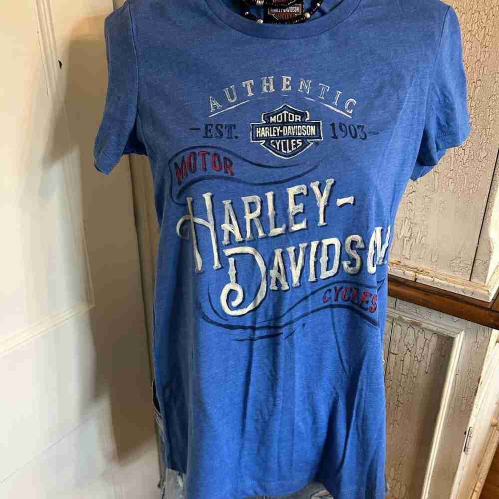 Harley-Davidson Authentic Blue Tee